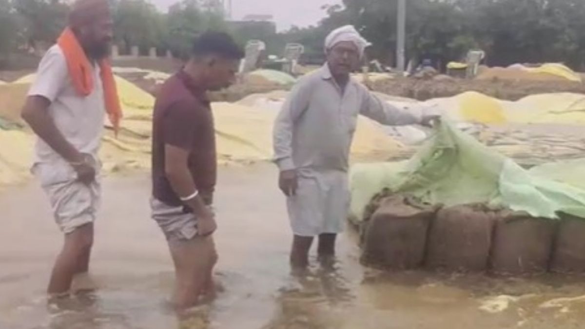 Fazilka Mandi Paddy Submerge