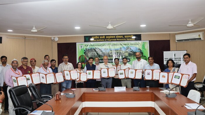 ICAR-IIVR द्वारा तीन कंपनियों के साथ 10 सब्जी प्रौद्योगिकियों के लाइसेंसिंग समझौतों पर हुआ हस्ताक्षर