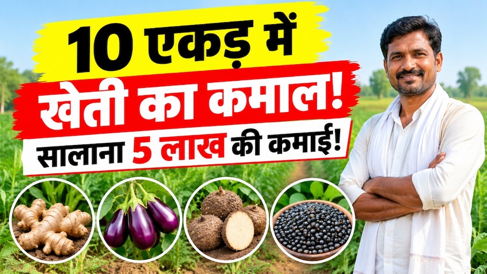 10 एकड़ खेत में खेती का नया मॉडल! अदरक, बैंगन, सूरन और उड़द से विनोद मौर्य कमा रहे 4–5 लाख रुपये सालाना 10 एकड़ खेत में खेती का नया मॉडल! अदरक, बैंगन, सूरन और उड़द से विनोद मौर्य कमा रहे 4–5 लाख रुपये सालाना