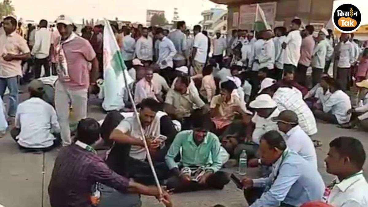 Maharashtra sugarcane farm protest 
