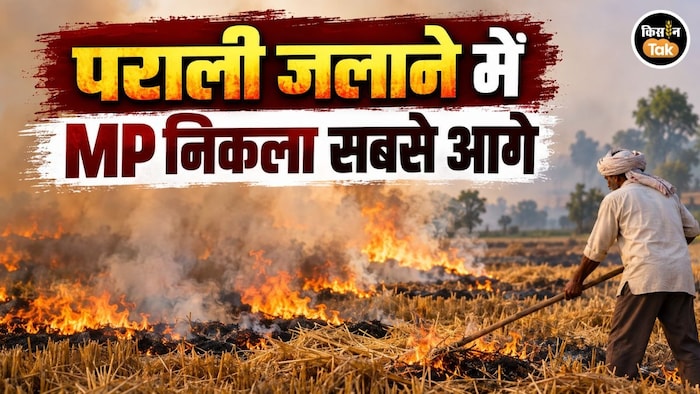 parali burning case mp ahead