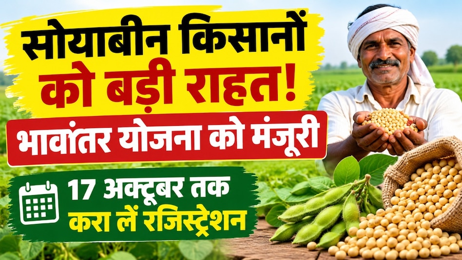 मध्य प्रदेश के किसानों के लिए बड़ा ऐलान: भावांतर योजना से मिलेगा पूरा MSP, जानें कैसे पहुंचेगा सीधा फायदा मध्य प्रदेश के किसानों के लिए बड़ा ऐलान: भावांतर योजना से मिलेगा पूरा MSP, जानें कैसे पहुंचेगा सीधा फायदा