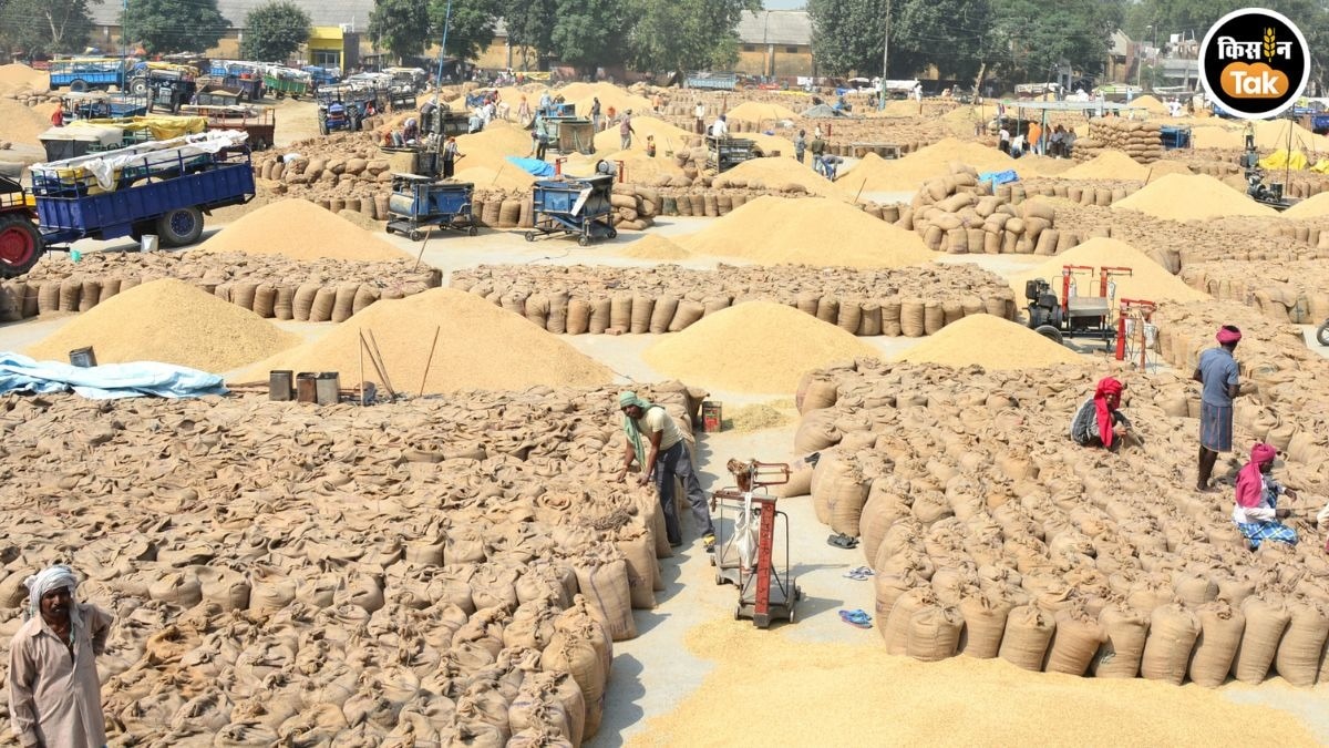Haryana Paddy Procurement Details