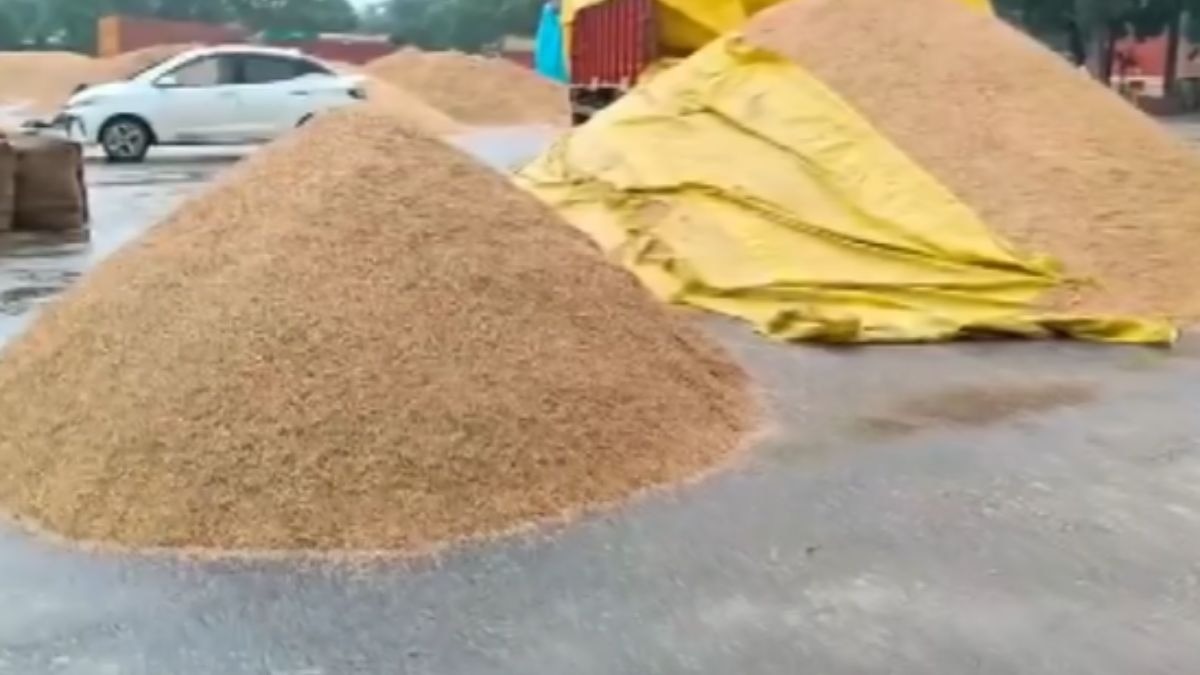 मंडियों में रखा अनाज भीगा