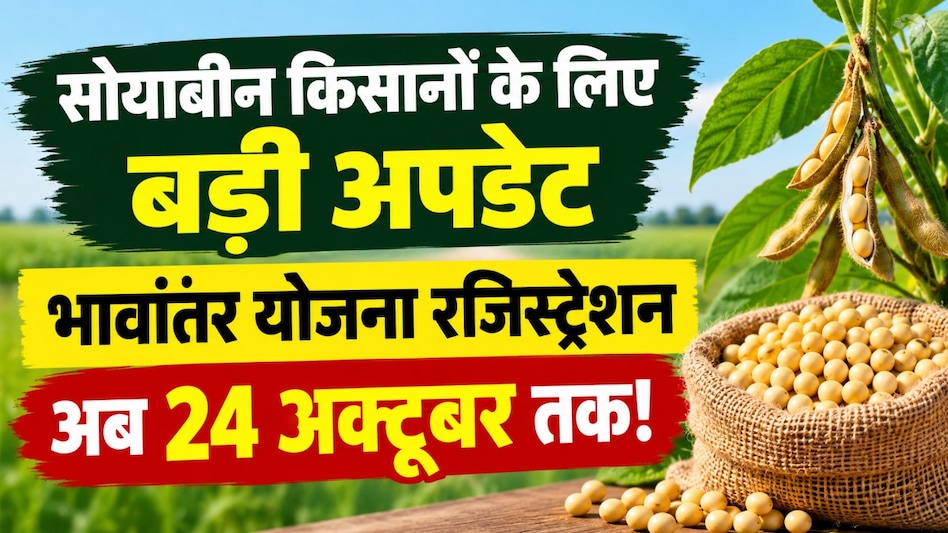 सोयाबीन किसानों को बड़ी राहत! भावांतर योजना में रजिस्ट्रेशन की तारीख बढ़ी, अब 24 अक्टूबर तक मिलेगा मौका सोयाबीन किसानों को बड़ी राहत! भावांतर योजना में रजिस्ट्रेशन की तारीख बढ़ी, अब 24 अक्टूबर तक मिलेगा मौका