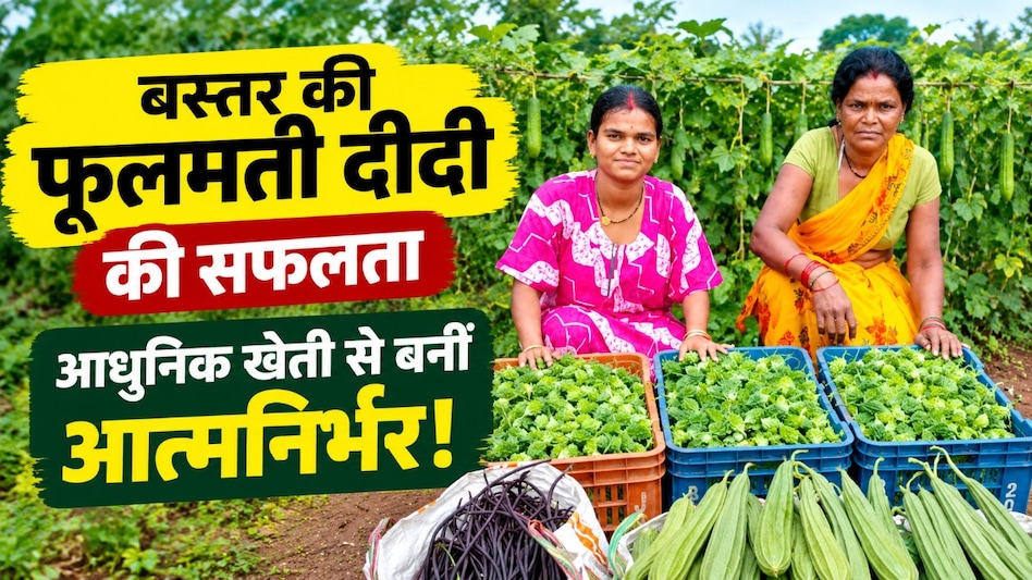 आधुनिक खेती से चमकी फूलमती दीदी की किस्मत, 10 क्विंटल से ज्यादा सब्जियों का उत्पादन आधुनिक खेती से चमकी फूलमती दीदी की किस्मत, 10 क्विंटल से ज्यादा सब्जियों का उत्पादन