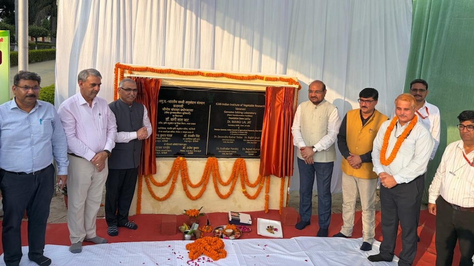 सब्जियों की बेहतर किस्में अब जल्दी आएंगी! IIVR में ICAR महानिदेशक ने शुरू कीं हाईटेक सुविधाएं सब्जियों की बेहतर किस्में अब जल्दी आएंगी! IIVR में ICAR महानिदेशक ने शुरू कीं हाईटेक सुविधाएं