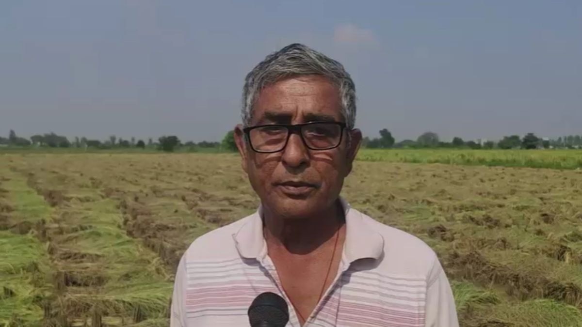 Mooli Farmer Case Haryana