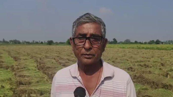Mooli Farmer Case Haryana