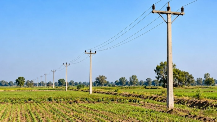 field and electric poles