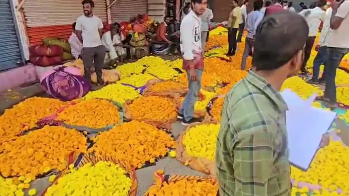 Agar Malwa flower farming news