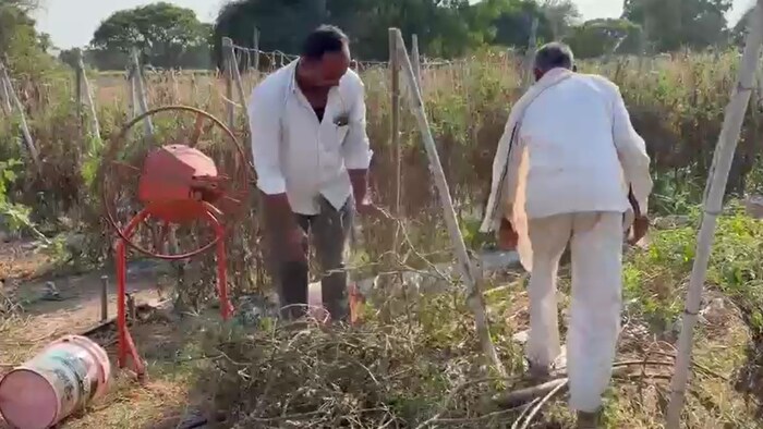 Beed drought vegetable crop failure
