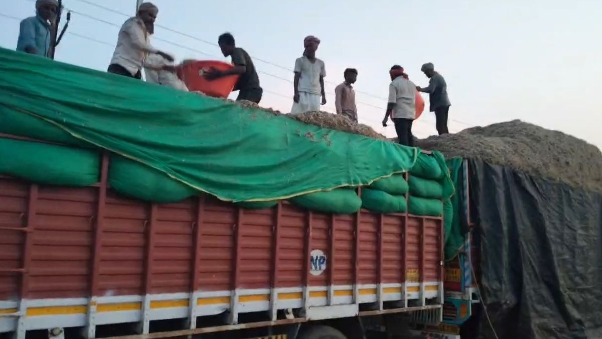पशुओं के चारे पर प्रशासन का पहरा