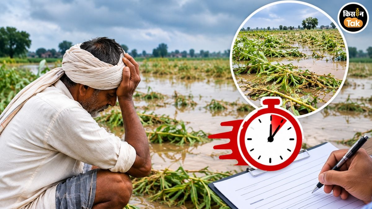 बाढ़ प्रभावित किसानों को मिलेगा मुआवजा, आवेदन के लिए सिर्फ 24 घंटे बाकी