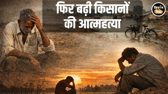 farmer Suicide