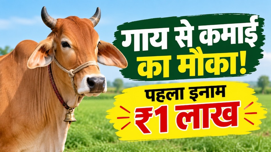 MP के पशुपालकों के लिए बड़ी खुशखबरी! सबसे ज्यादा दूध देने वाली गाय के मालिक को मिलेगा ₹1 लाख का इनाम MP के पशुपालकों के लिए बड़ी खुशखबरी! सबसे ज्यादा दूध देने वाली गाय के मालिक को मिलेगा ₹1 लाख का इनाम