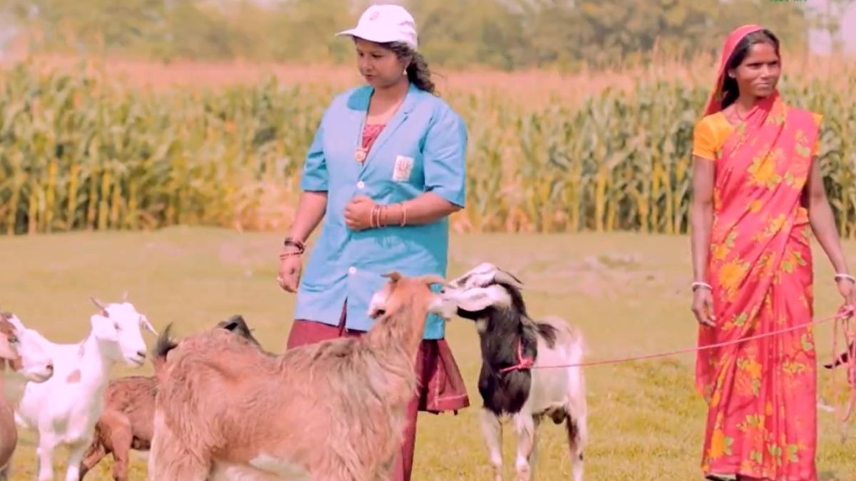 डॉक्टर दीदी