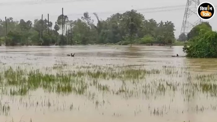 andhra crop damage arnab cyclone