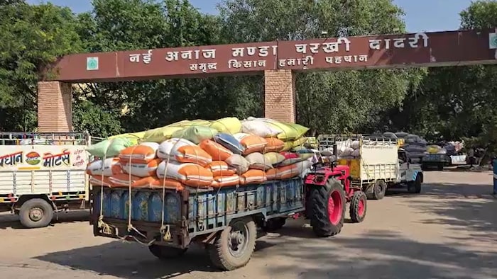 Charkhi Dadri Grain Market Scam