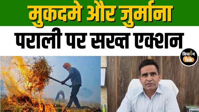 पराली जलाने वालों पर बड़ा एक्शन