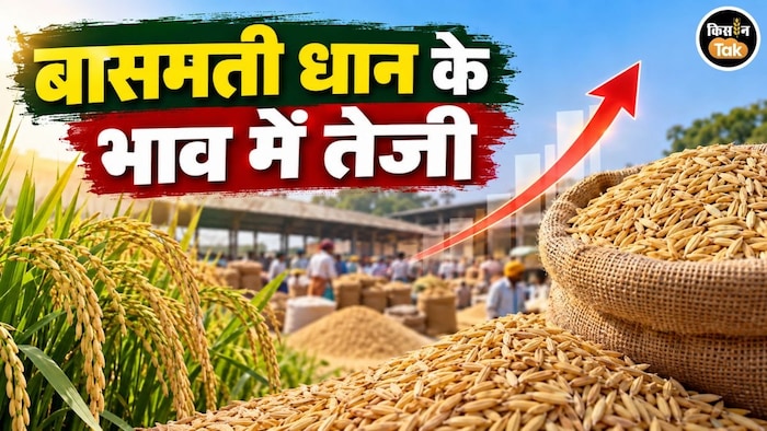 Basmati Paddy Price Surge
