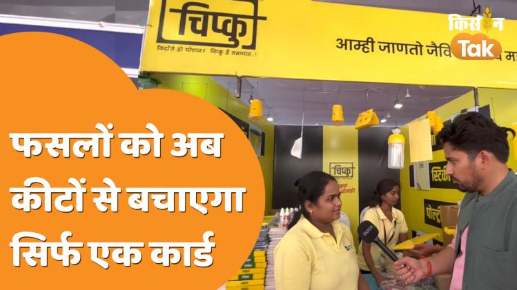 फसल को कीटों से बचाने के लिए लगाए ये कार्ड, देखें वीडियो