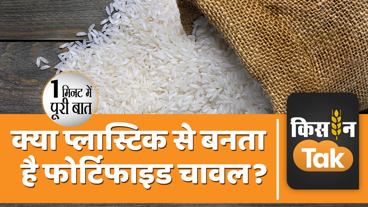 Fortified Rice क्या है फोर्टिफाइड चावल, जानें इस पर क्यों छिड़ी हुई है