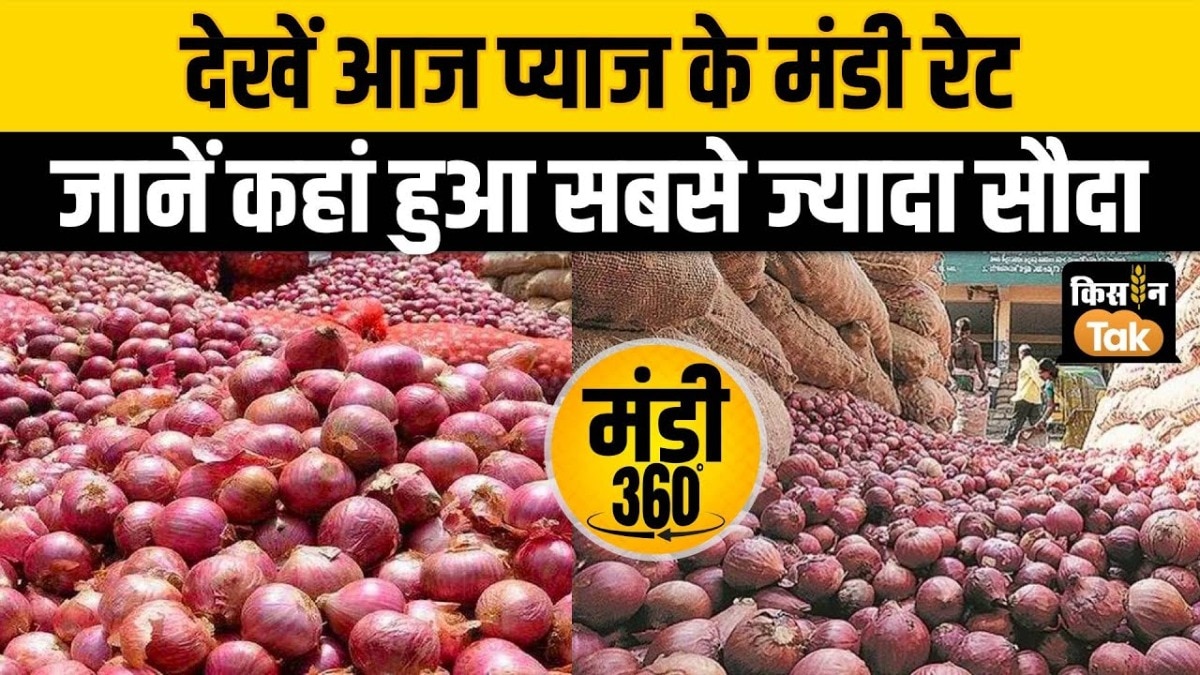 onion rate