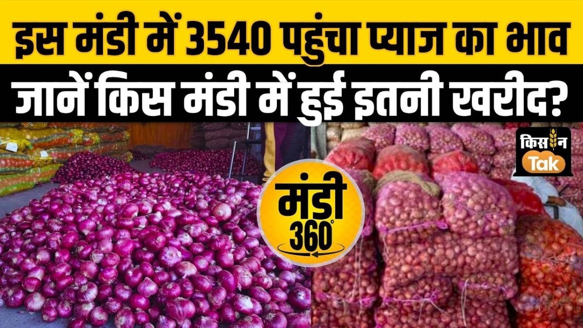 प्याज का मंडी भाव