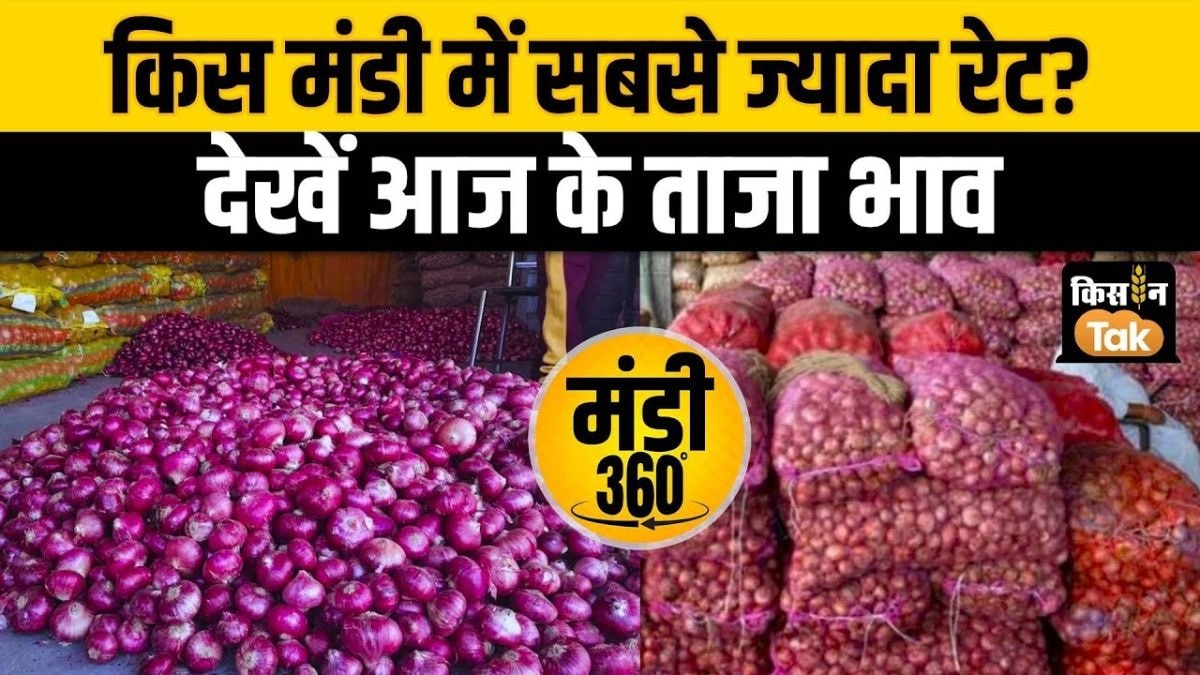 प्याजा की ताजा कीमतें जारी