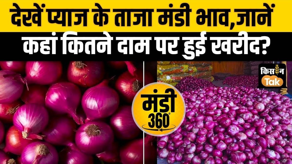 प्याज का सबसे ज्यादा दाम