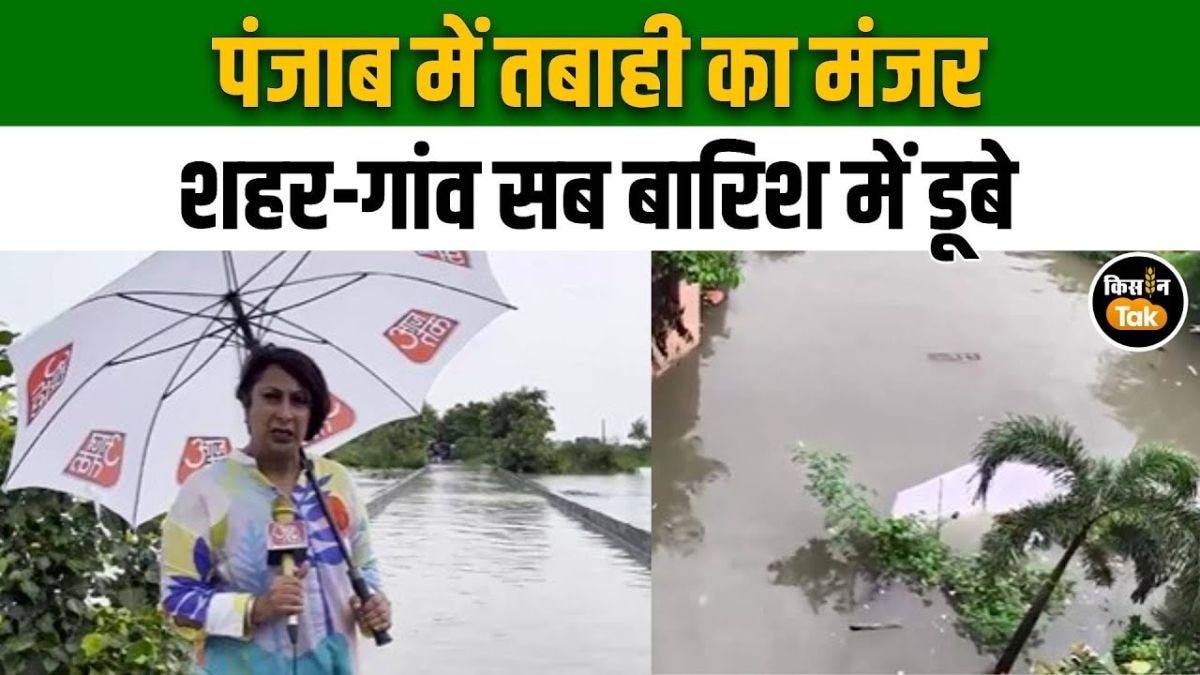 भारी बारिश से पंजाब में तबाही