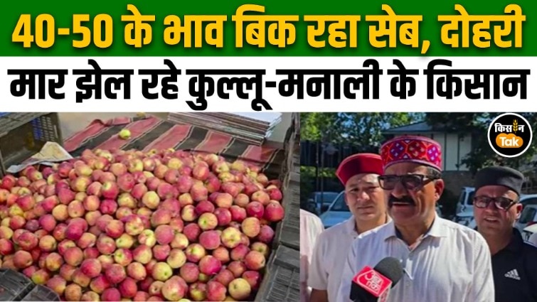 apple farming