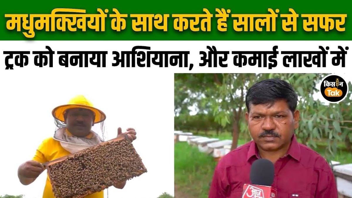 मधुमक्खी पालक