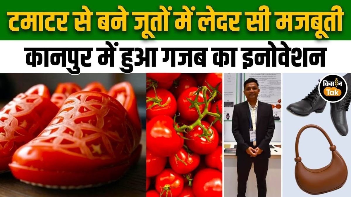टमाटर बना फैशन का हिस्सा