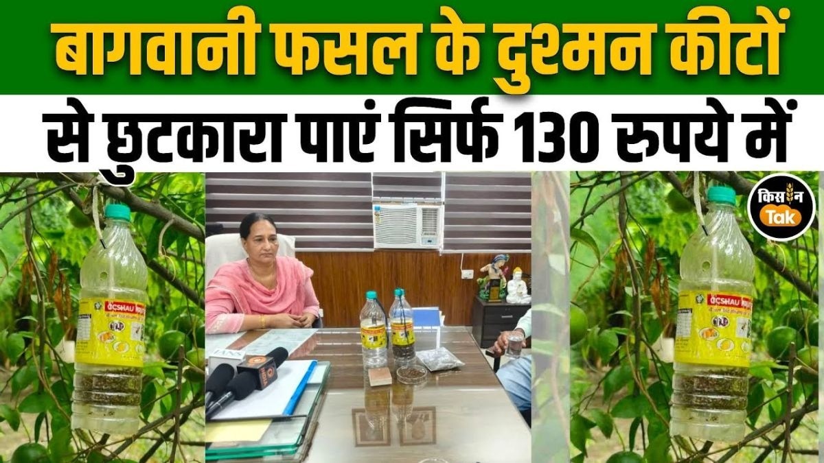 कीटों से नहीं होगी फसल खराब