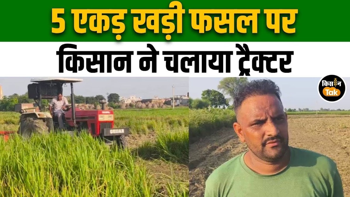 karnal news