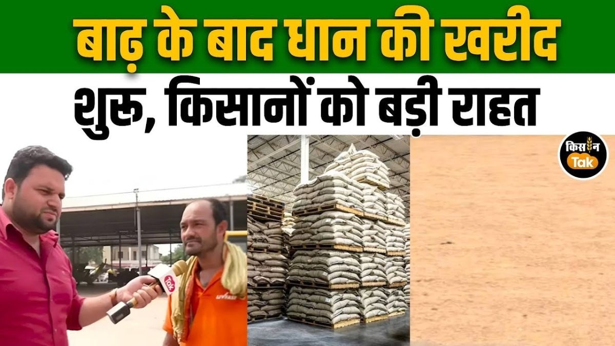 धान की खरीद प्रक्रिया हुई शुरू