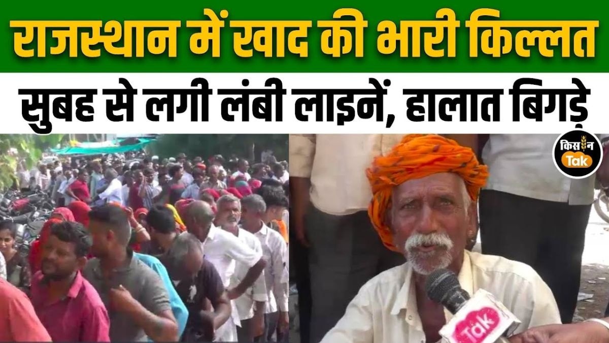 खाद की भारी किल्लत