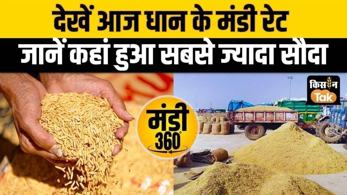 सबसे मंहगा बिका धान