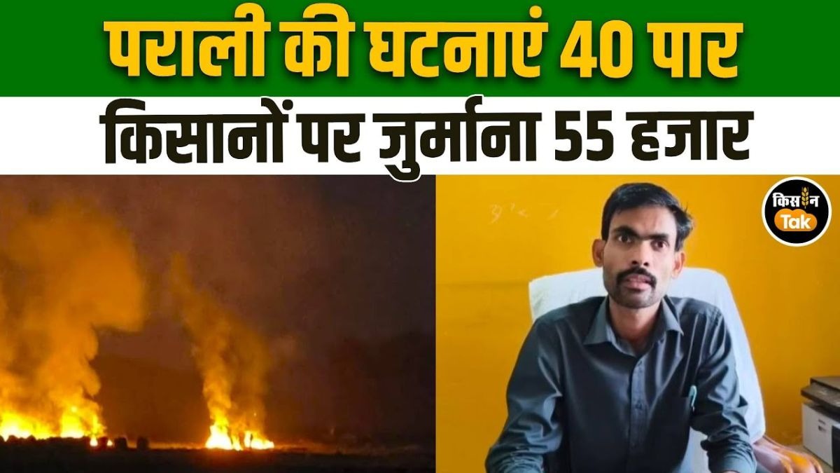 यूपी में सरकार की सख्ती, फिर भी पराली जलाने से नहीं रुक रहे किसान 