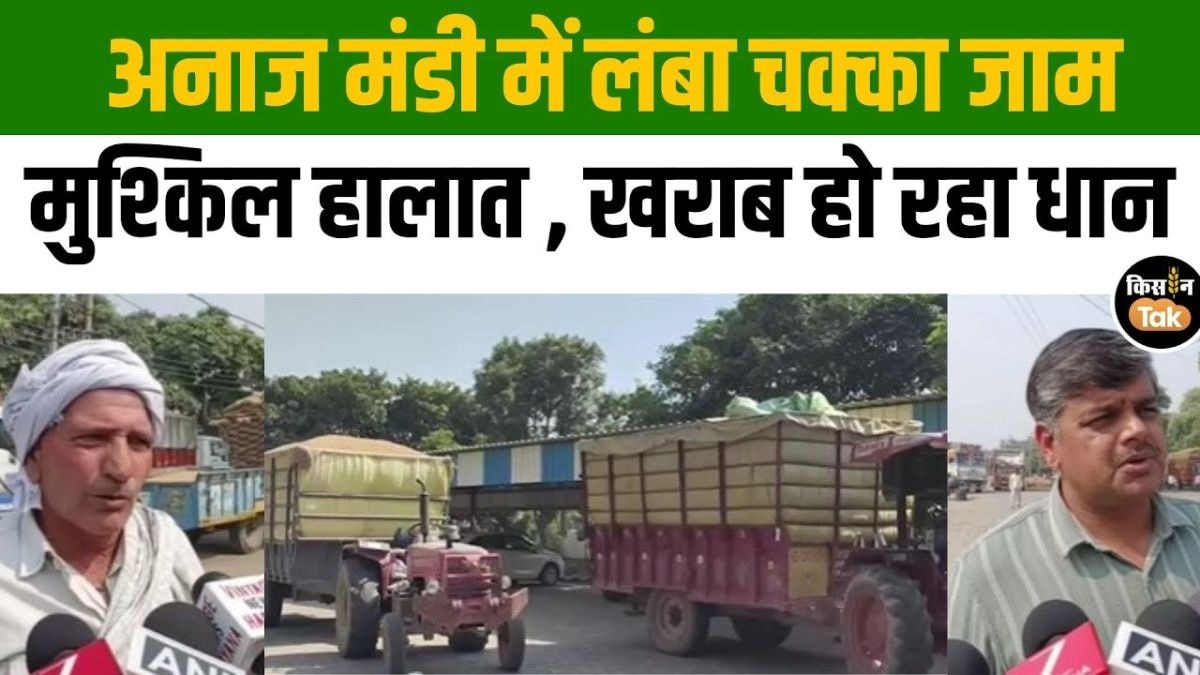 करनाल अनाज मंडी