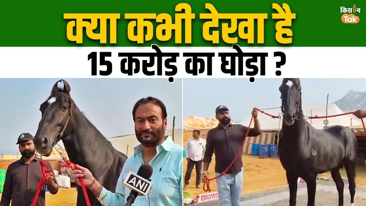 पुष्कर मेले में आया 15 करोड़ का घोड़ा