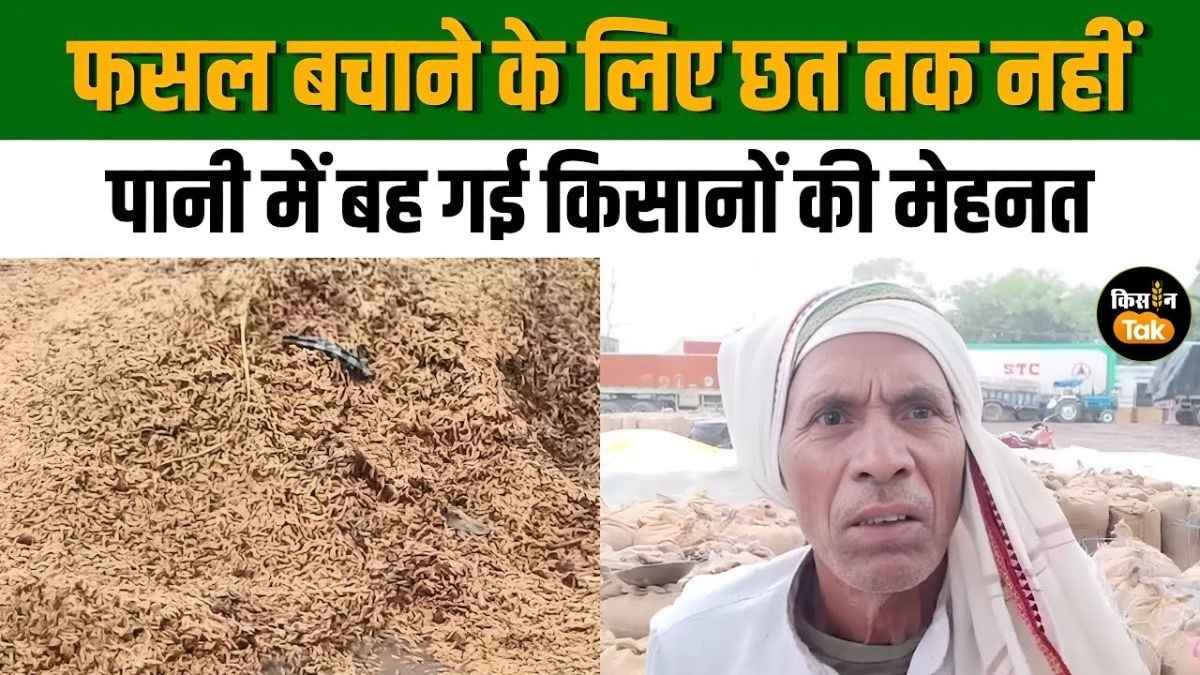 मंडी पहुंच कर भी नहीं हुई खरीदी