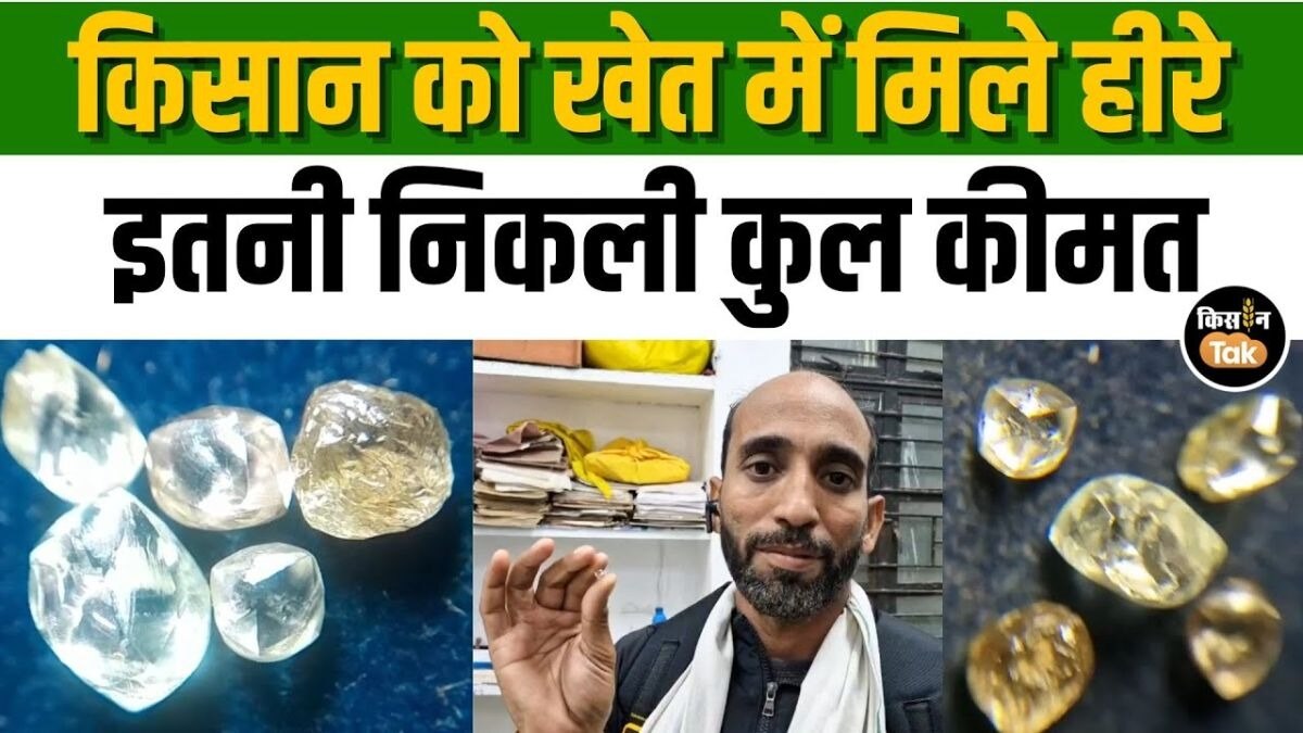 पन्ना के किसान को मिला हीरा