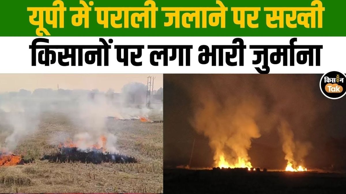 पराली जलाने पर कड़ी कार्रवाई