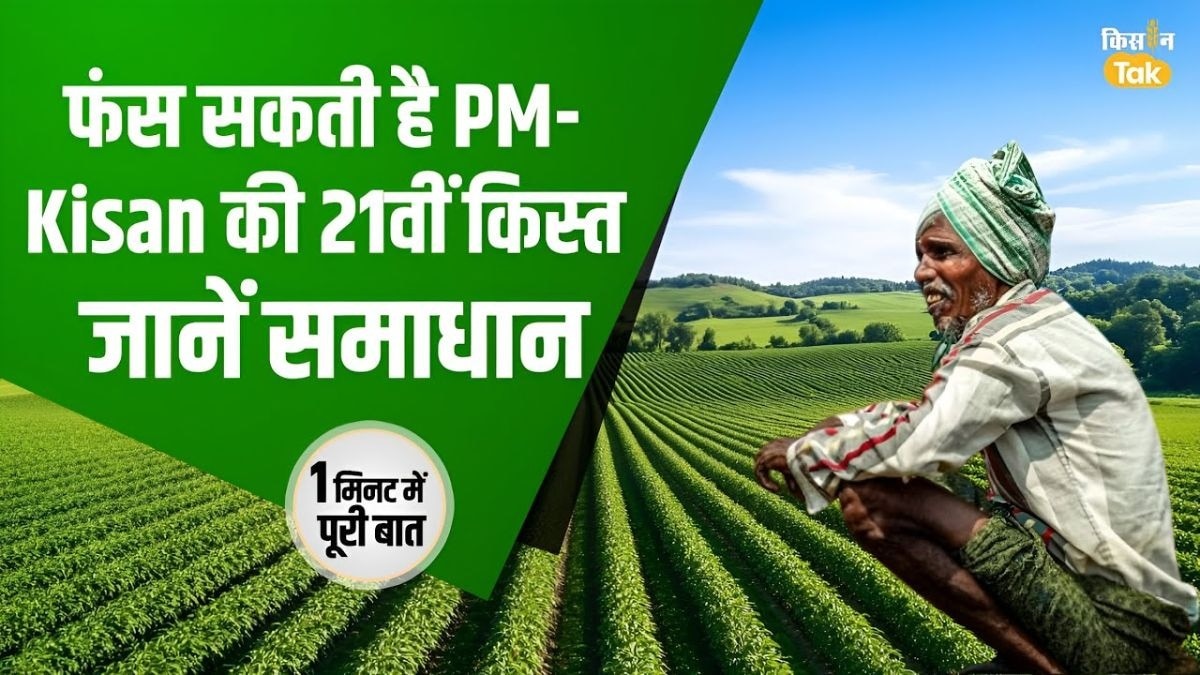 पीएम किसान योजना