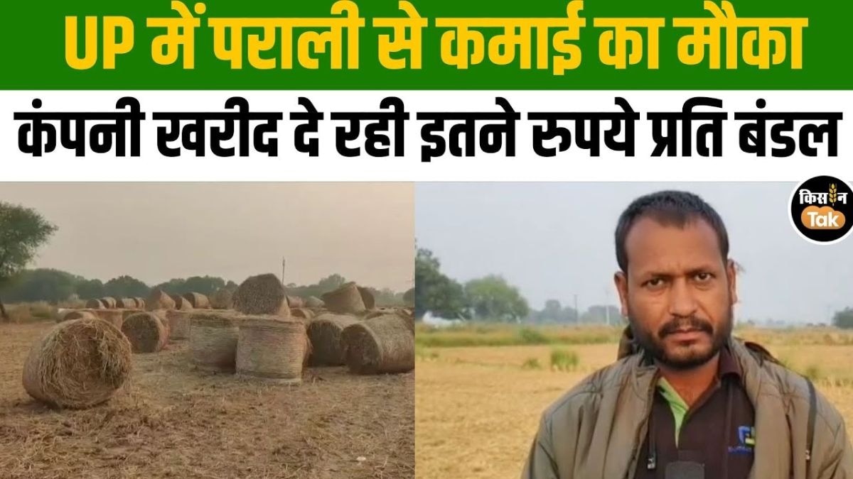 पराली से कमाई का मौका