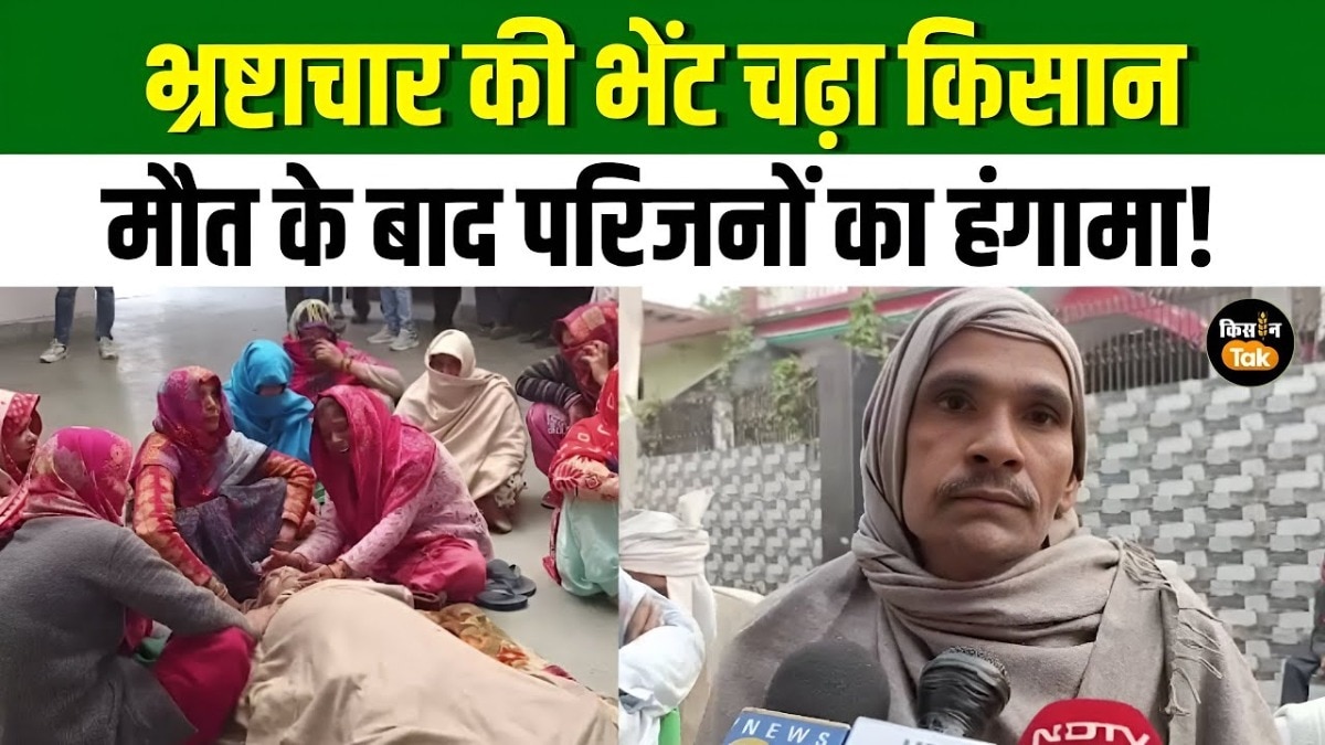 agriculture corruption