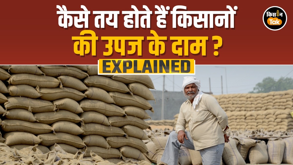 Mandi Bhav Explained